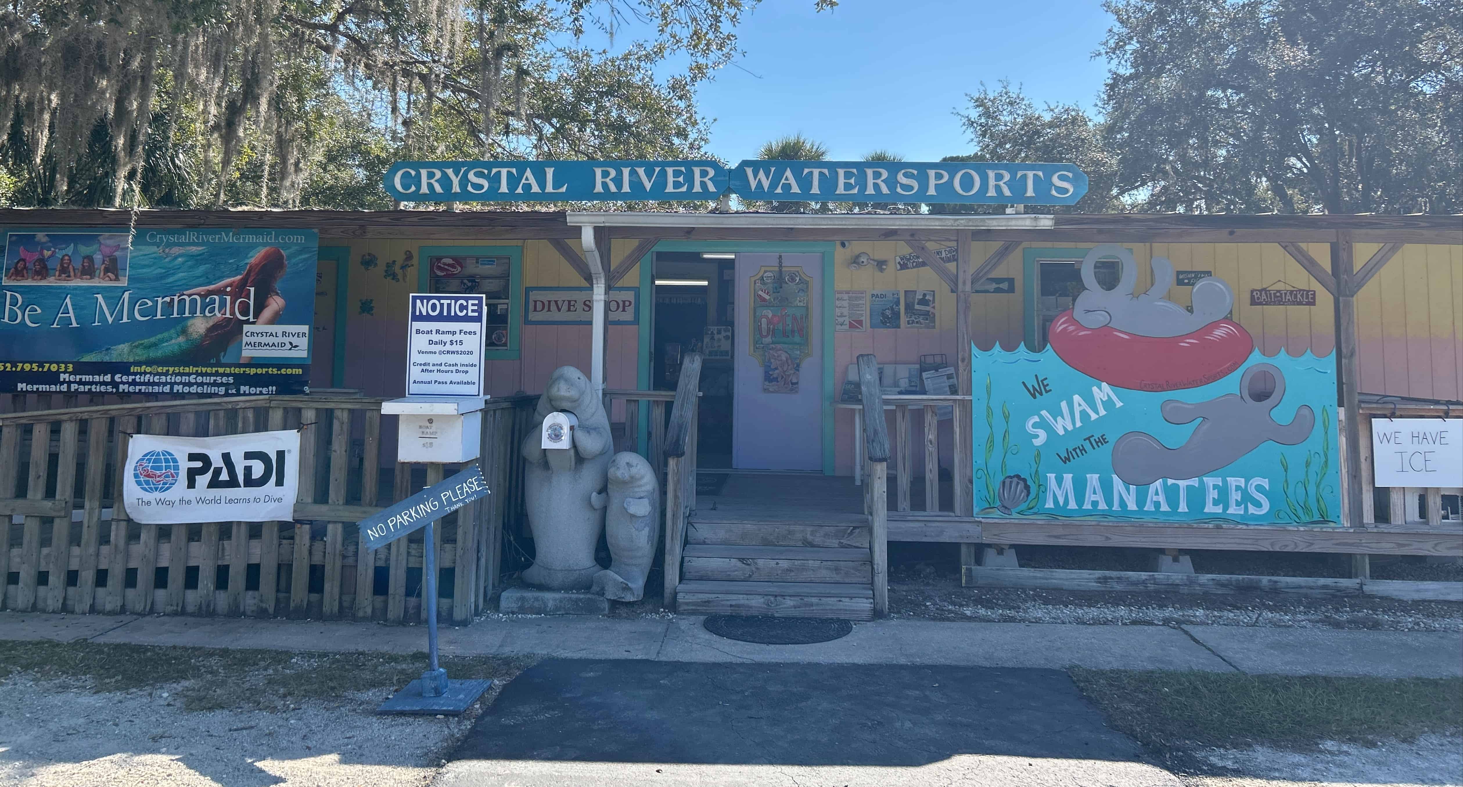 Deluxe-Manatee-Swim-Tour