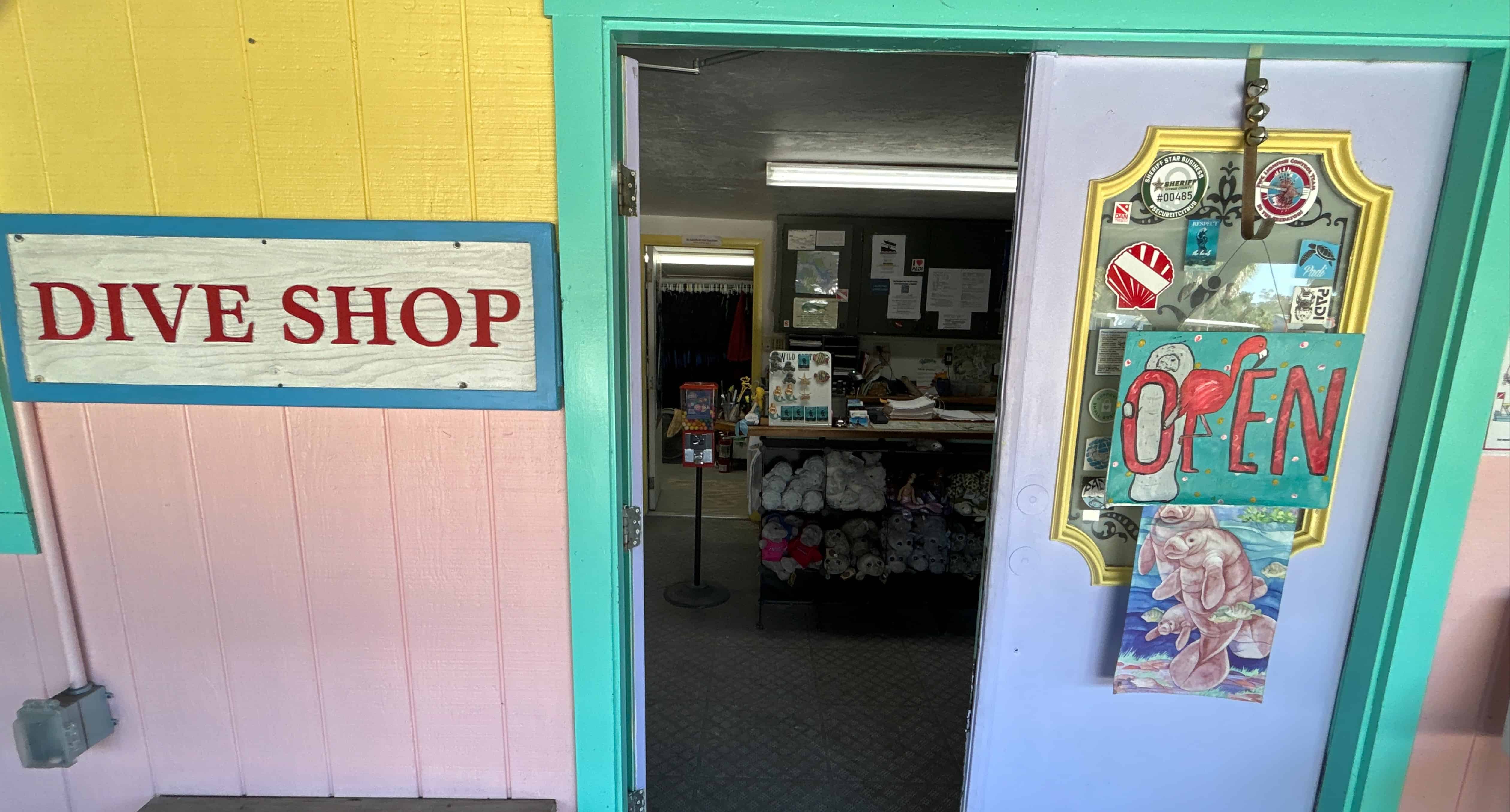 Private-Manatee-Swim-Tour