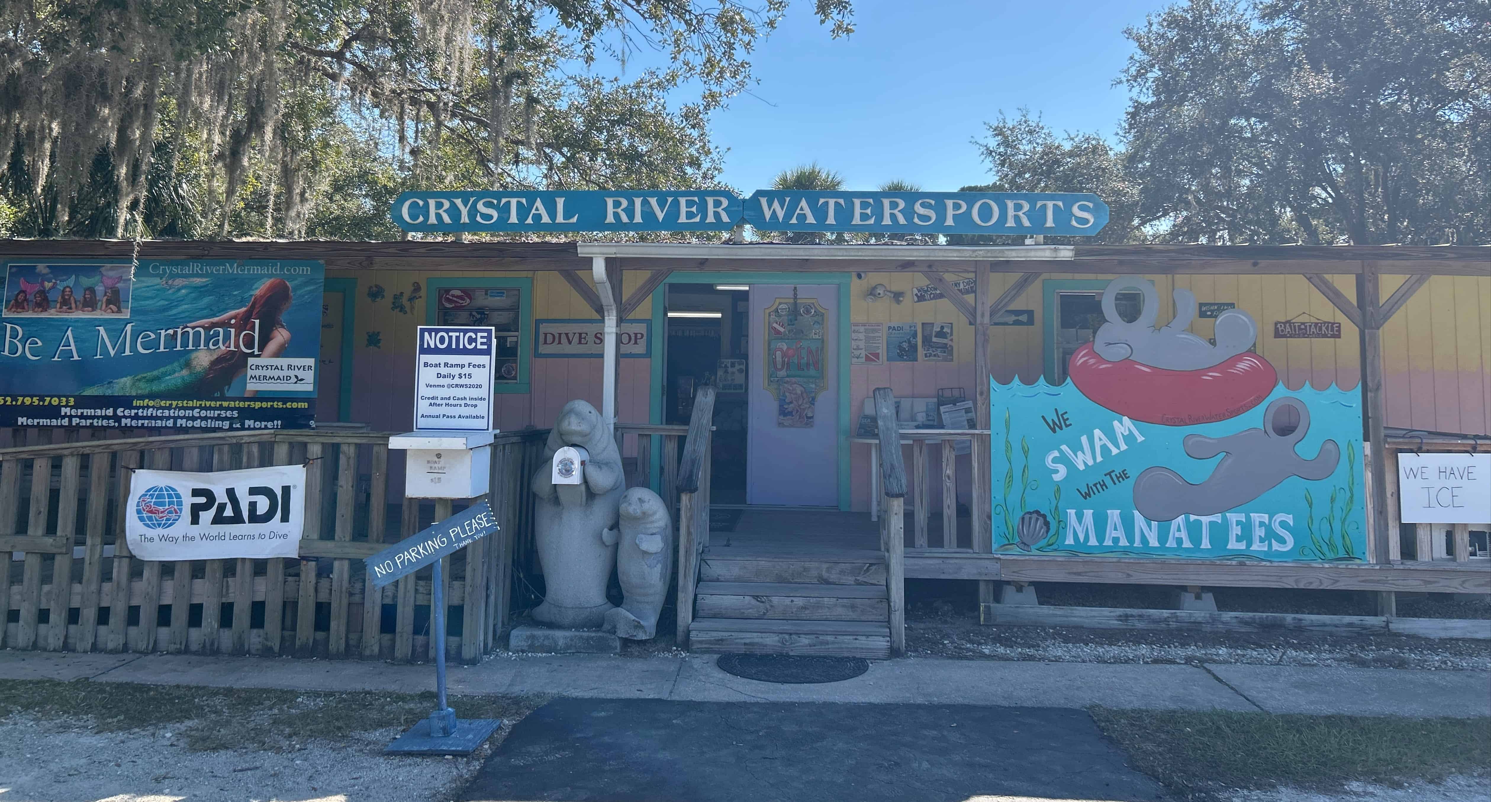 Private-Manatee-Swim-Tour
