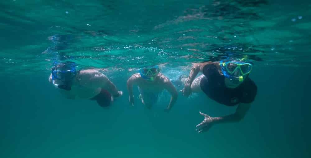 Gulf-of-Mexico-Reef-Snorkel-Adventure