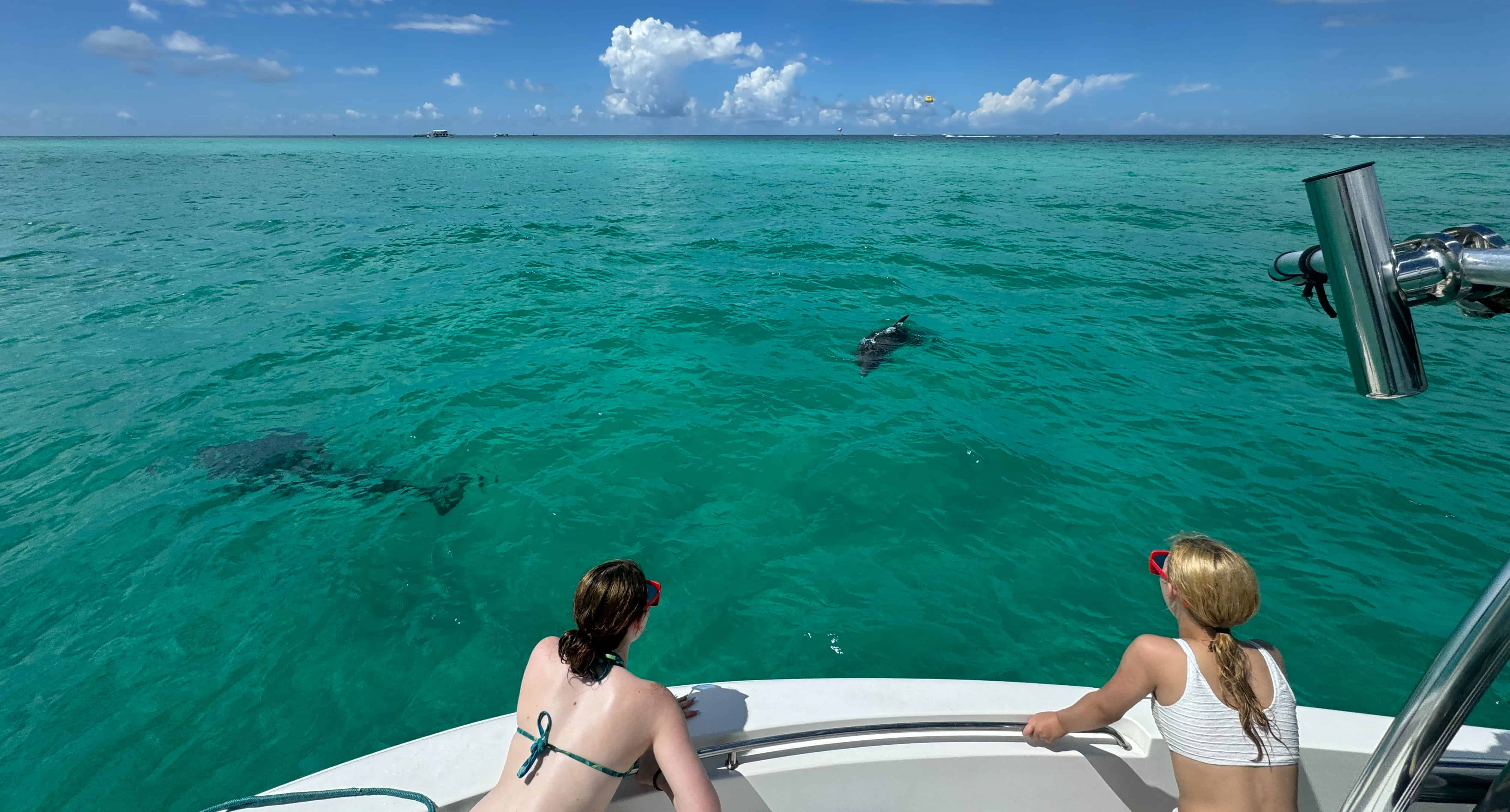 Crab-Island-Dolphin-Cruise-and-Jetty-Snorkeling