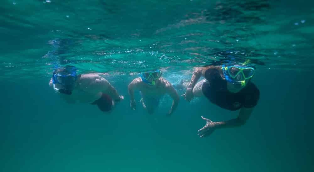 Crab-Island-Dolphin-Cruise-and-Jetty-Snorkeling