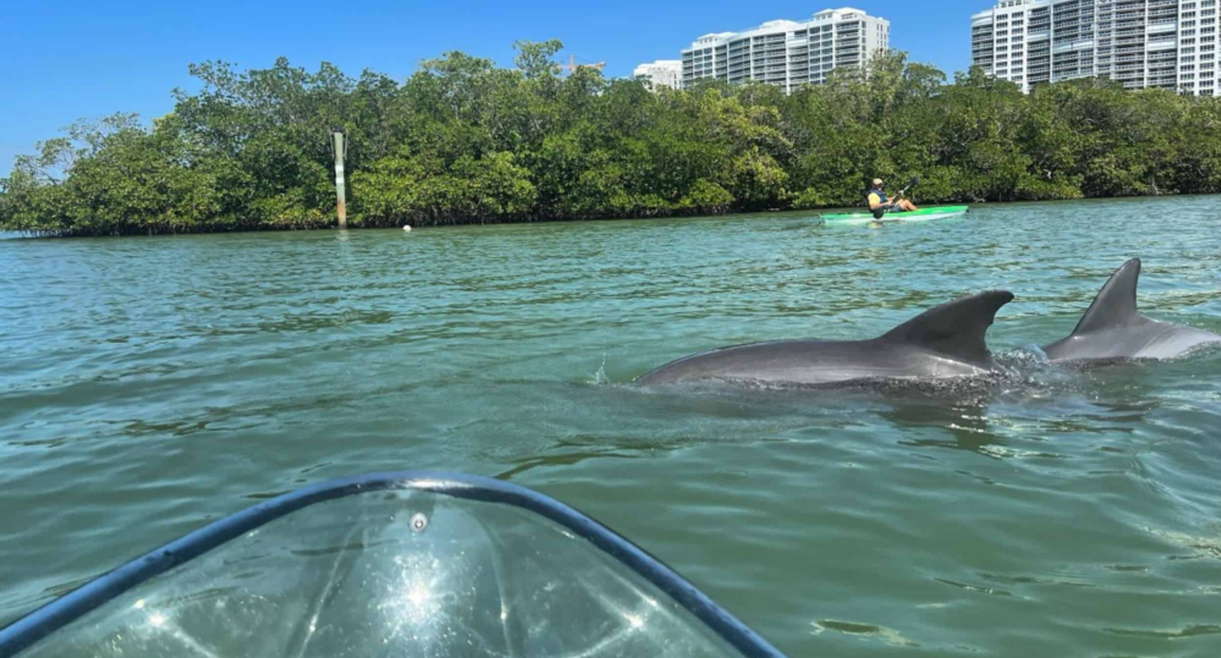 Naples-Clear-Kayak-Tour