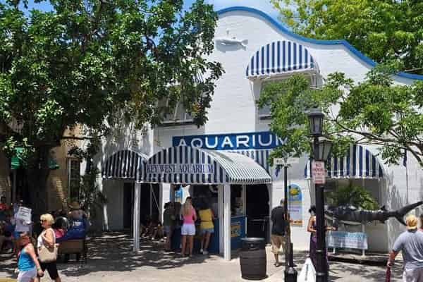 The-Key-West-Aquarium-Admission-Ticket