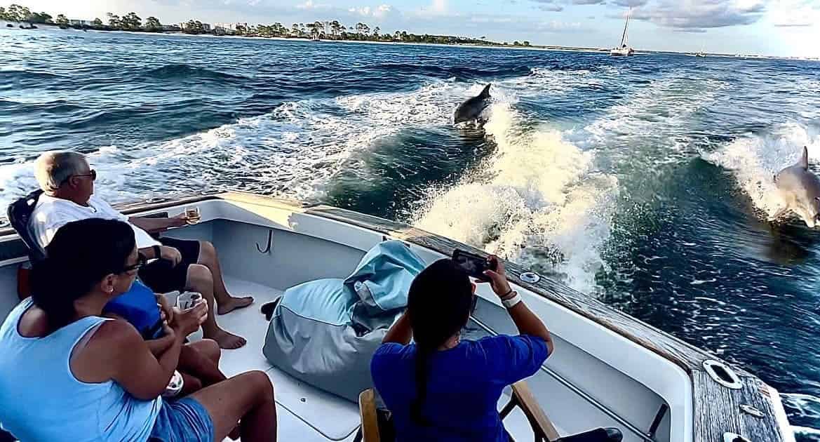 2-Hour-Panama-City-Dolphin-Tour