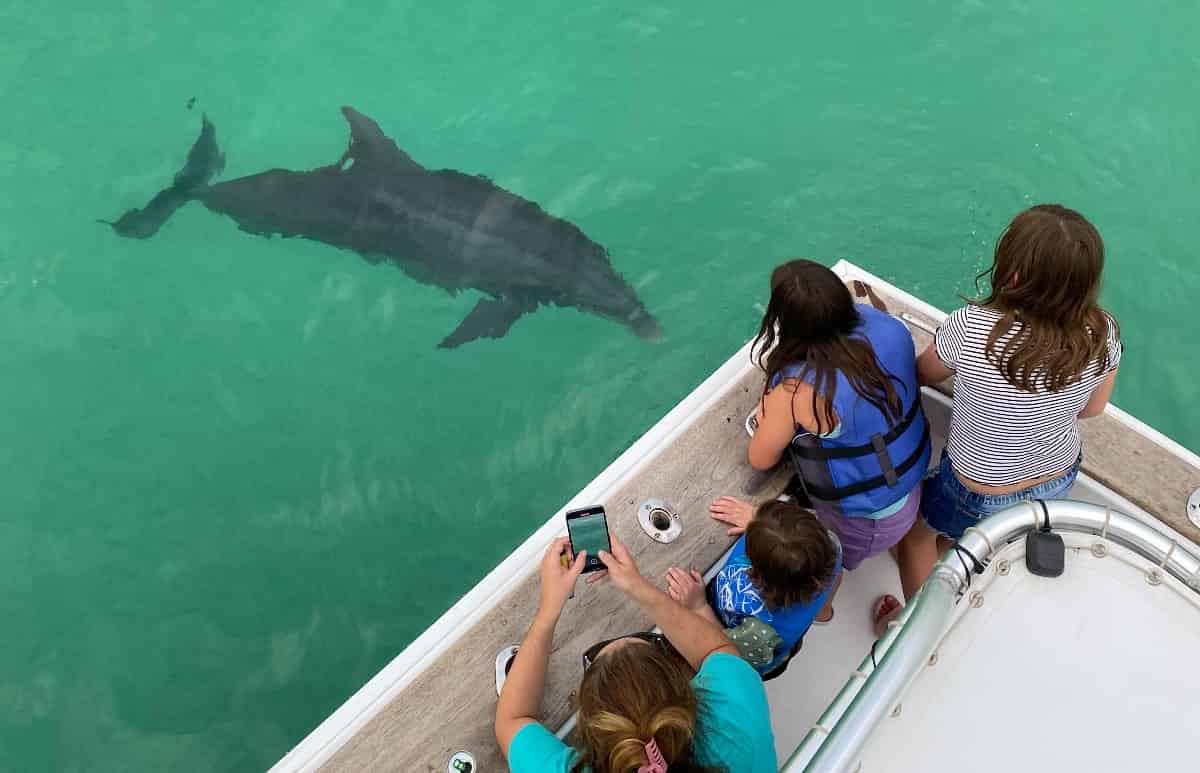 2-Hour-Panama-City-Dolphin-Tour