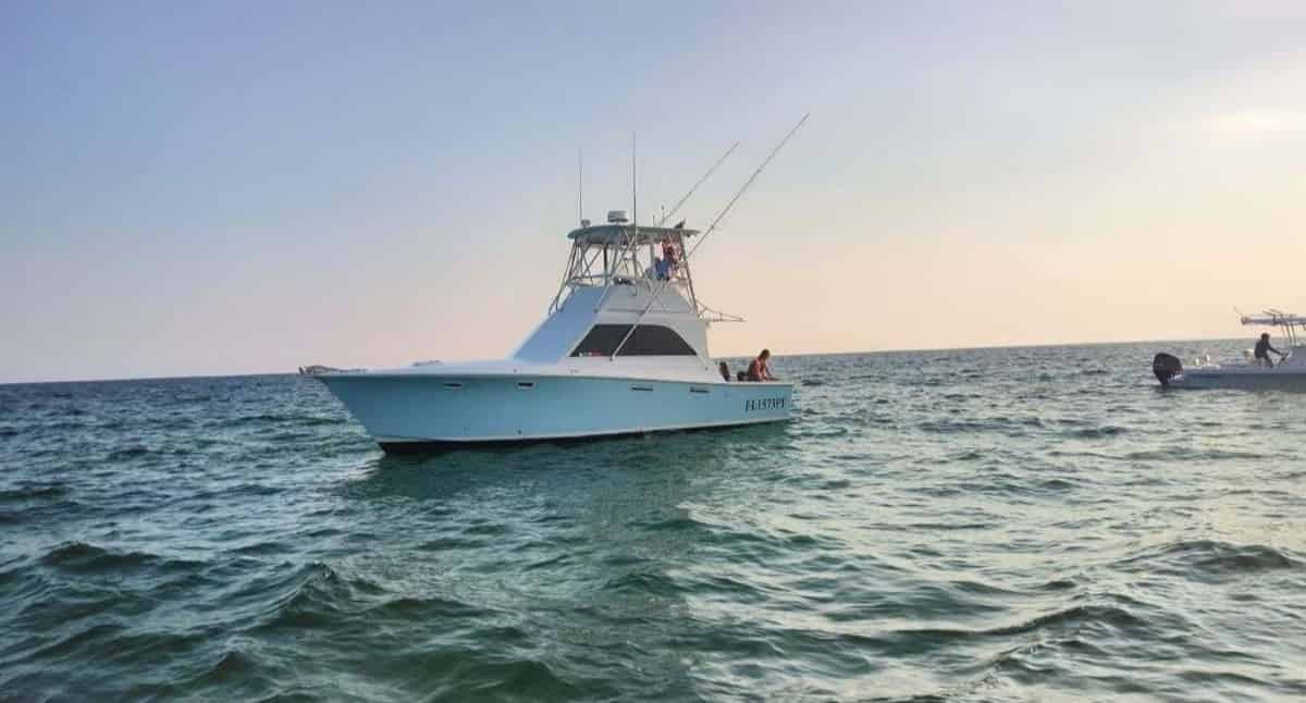 2-Hour-Panama-City-Dolphin-Tour