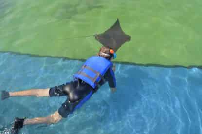 Stingray Bay Snorkel at Gulfarium Marine Adventure Park