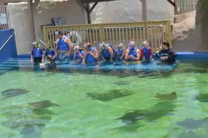 Stingray Bay Snorkel at Gulfarium Marine Adventure Park