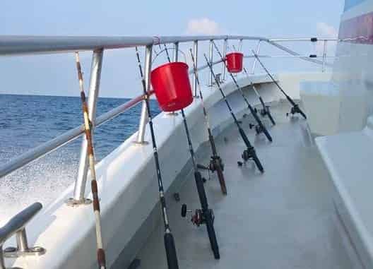 4-Hour-Deep-Sea-Fishing-Catch-and-Release