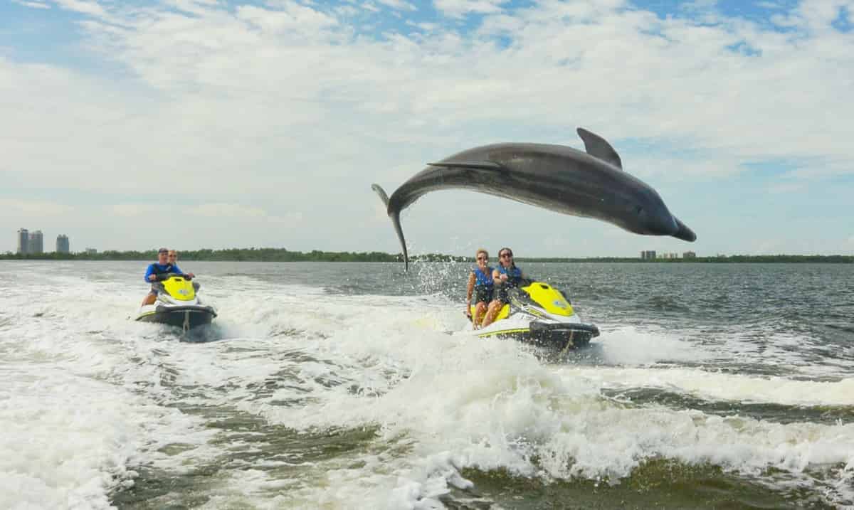 Bonita-Jet-Ski-Dolphin-Tour