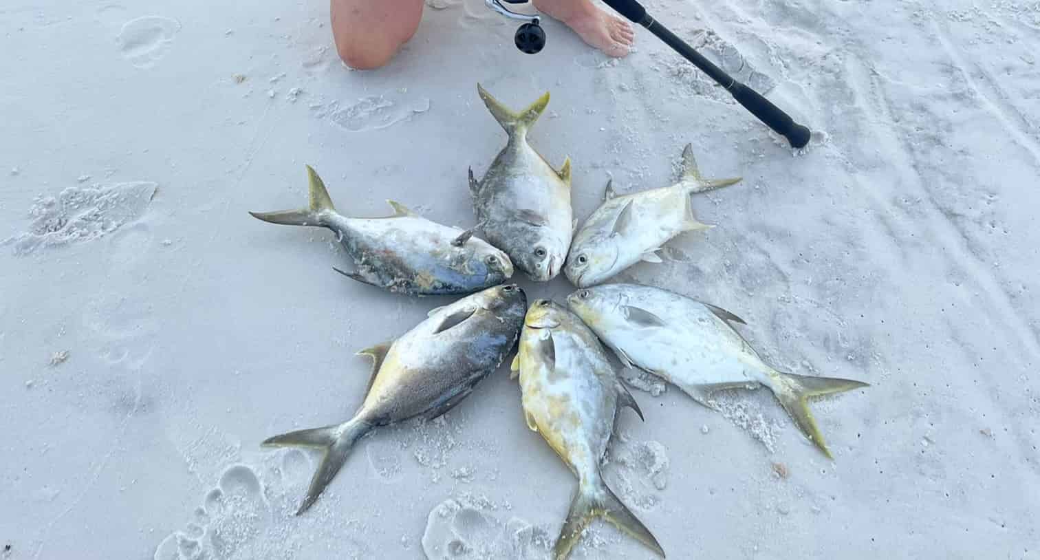 30A-Surf-Fishing-Experience