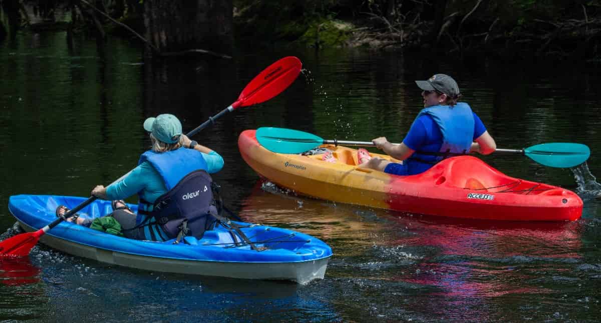 Waccamaw-River-Guided-Kayak-Tour