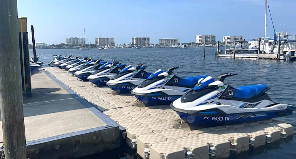 Dolphin-Excursion-on-a-Waverunner