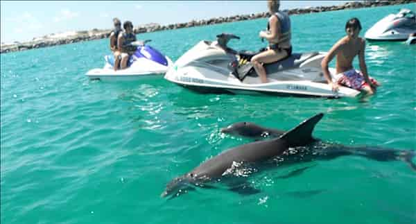 Dolphin-Excursion-on-a-Waverunner