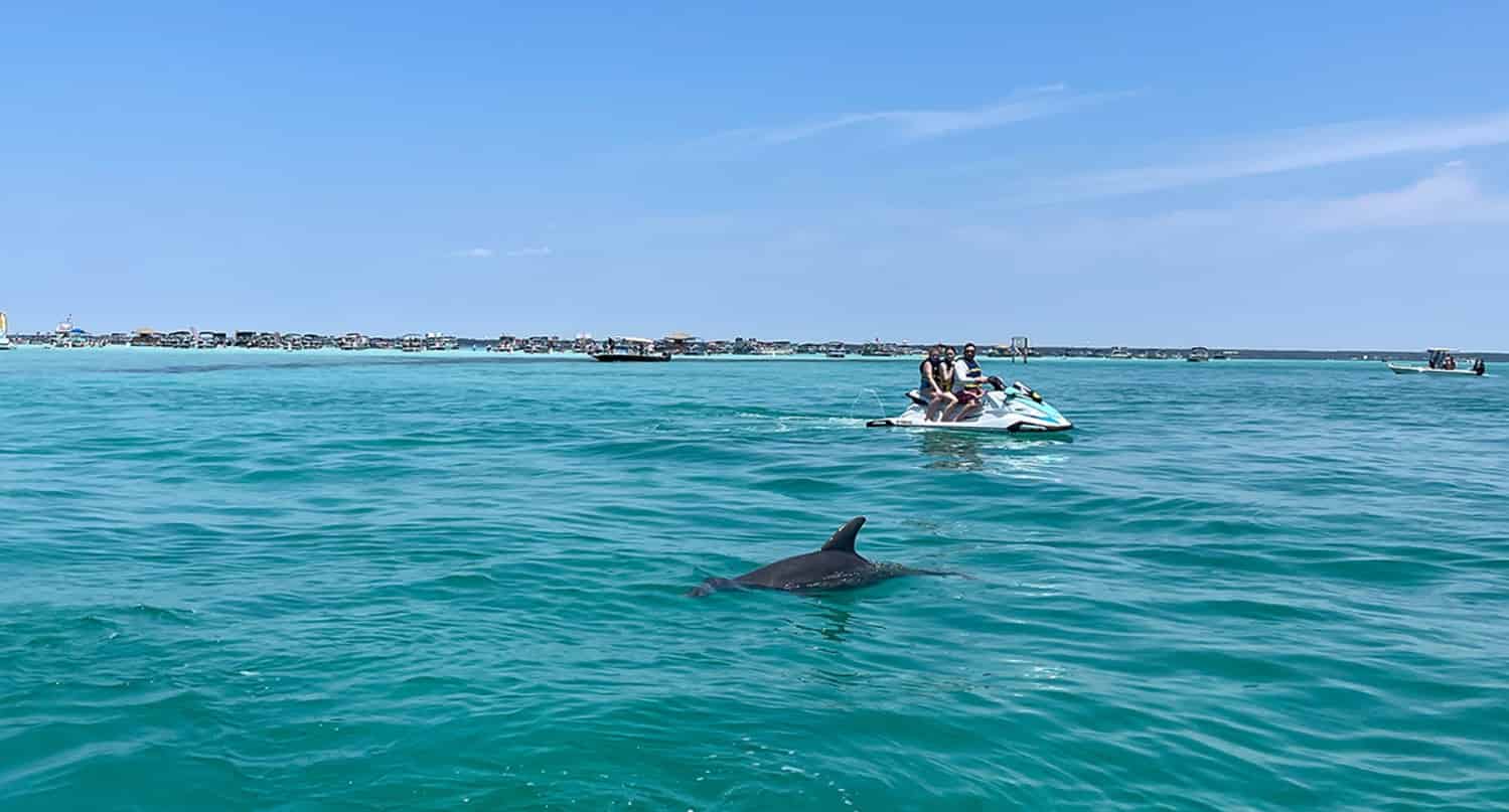 Destin-Dolphin-Excursion-Tour-on-a-Waverunner