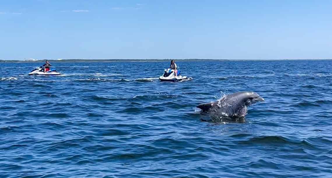 Destin-Dolphin-Excursion-Tour-on-a-Waverunner