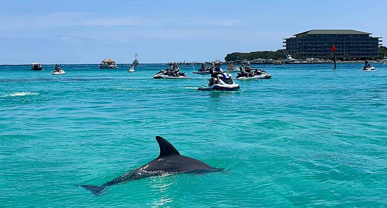 Destin-Dolphin-Excursion-Tour-on-a-Waverunner