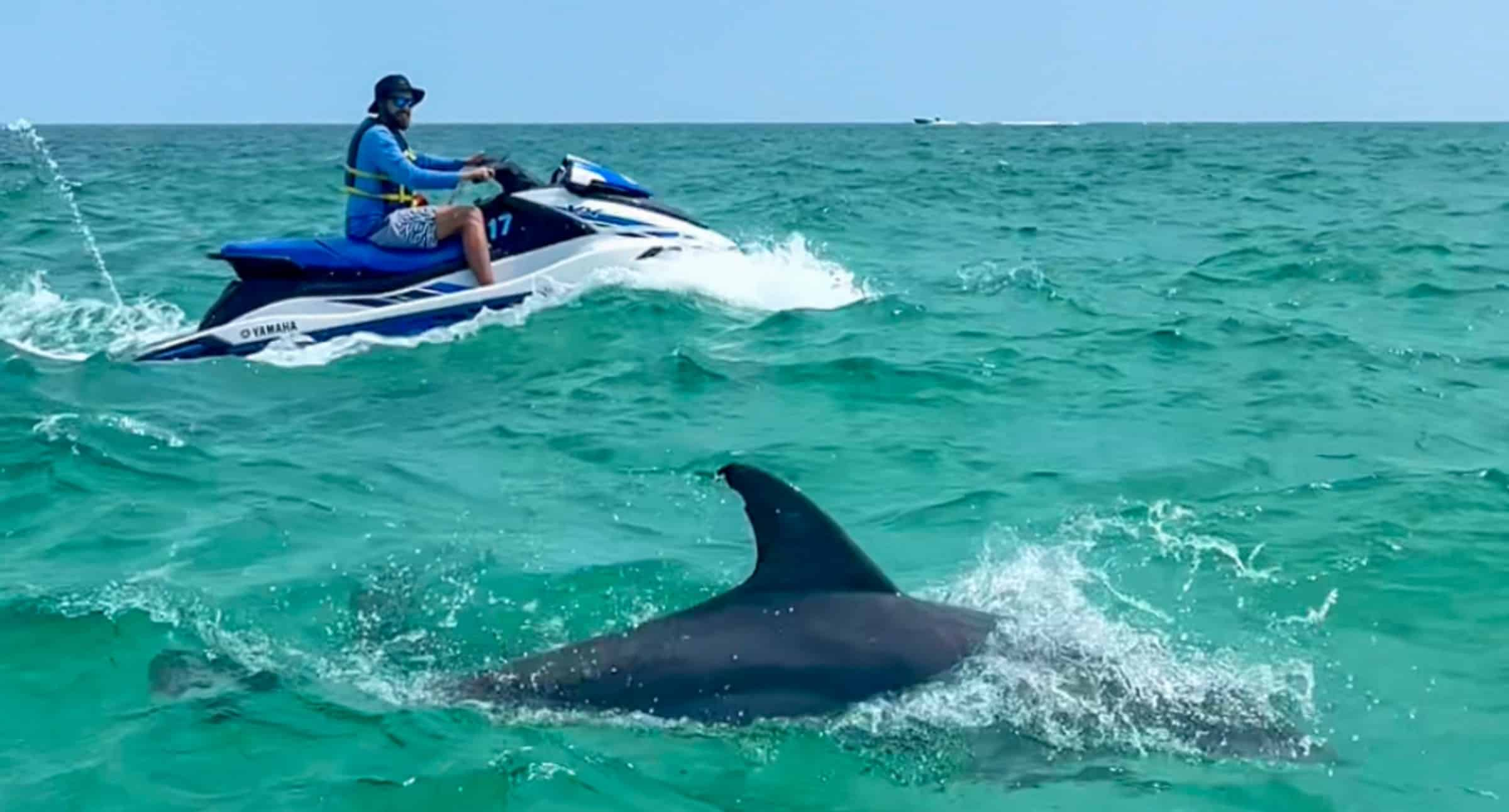 Destin-Dolphin-Excursion-Tour-on-a-Waverunner