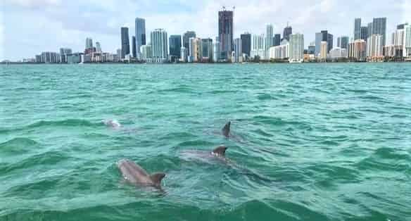 Small-Group-Biscayne-Bay-And-Stiltsville-Tour