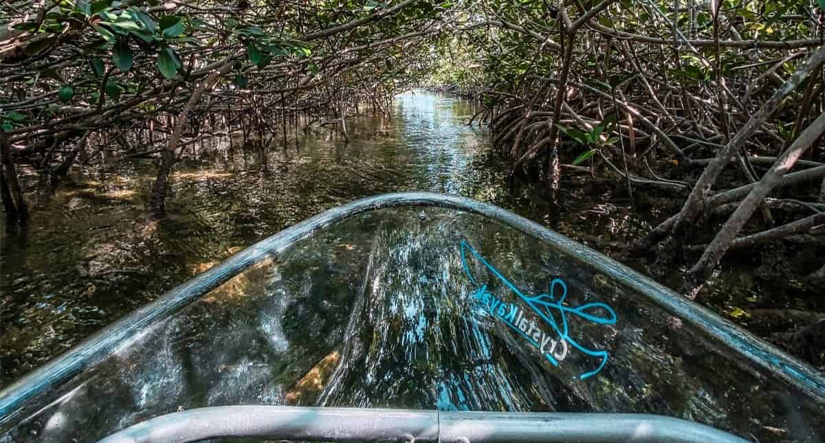 The-Florida-Keys-Clear-Kayak-Tour-At-Sugarloaf-Key