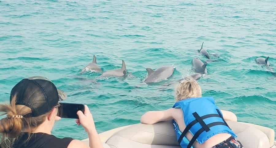 Fun-Destin-Crab-Island-And-Dolphin-Adventure