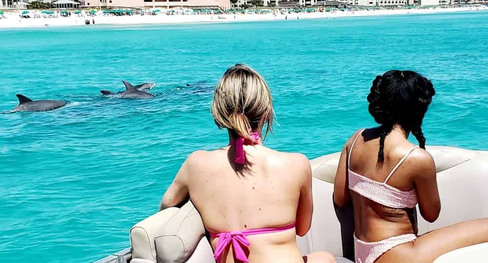 Fun-Destin-Crab-Island-And-Dolphin-Adventure