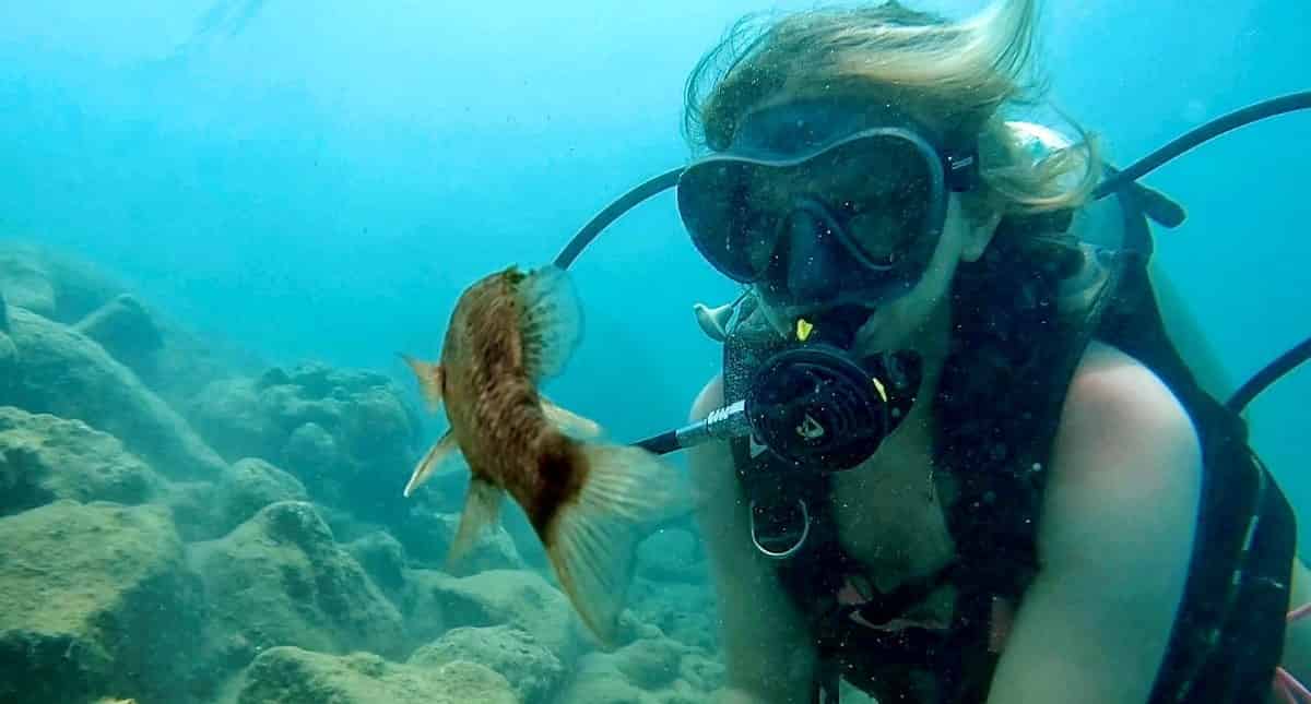 Miami-Beginner-Scuba-Diving-With-Videos