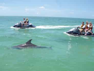 Destin Waverunner Dolphin Tour
