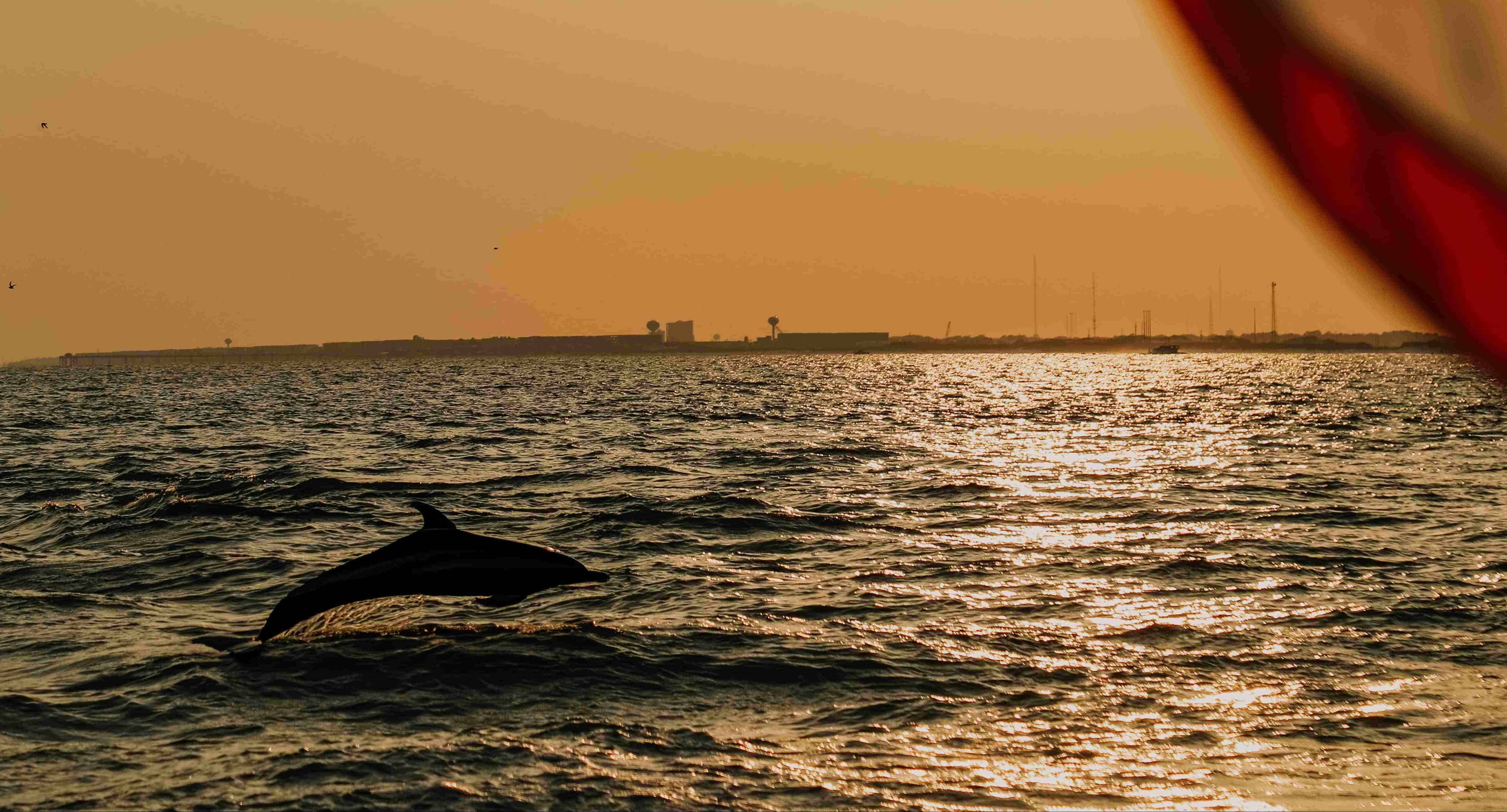 Destin-Sunset-Cruise