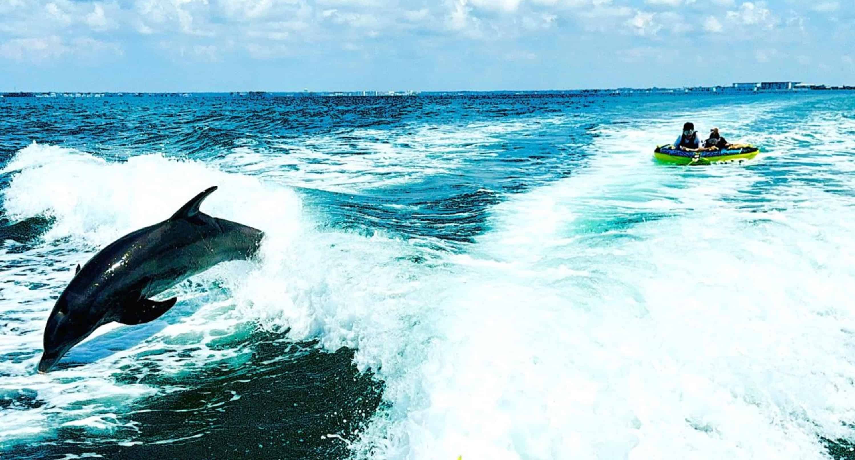 The-Wipeout-Watersports-Experience