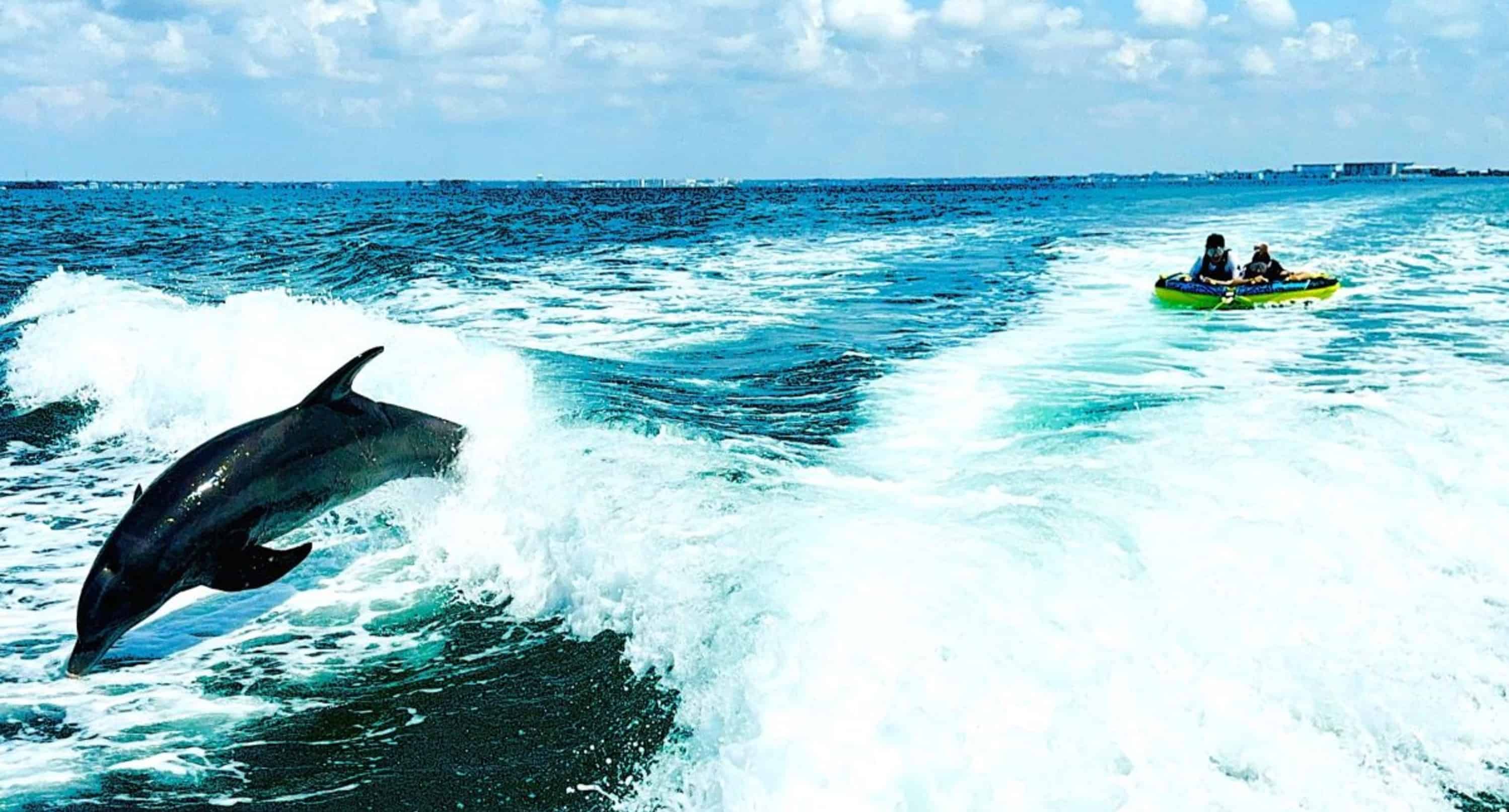 The-Relax-and-Shred