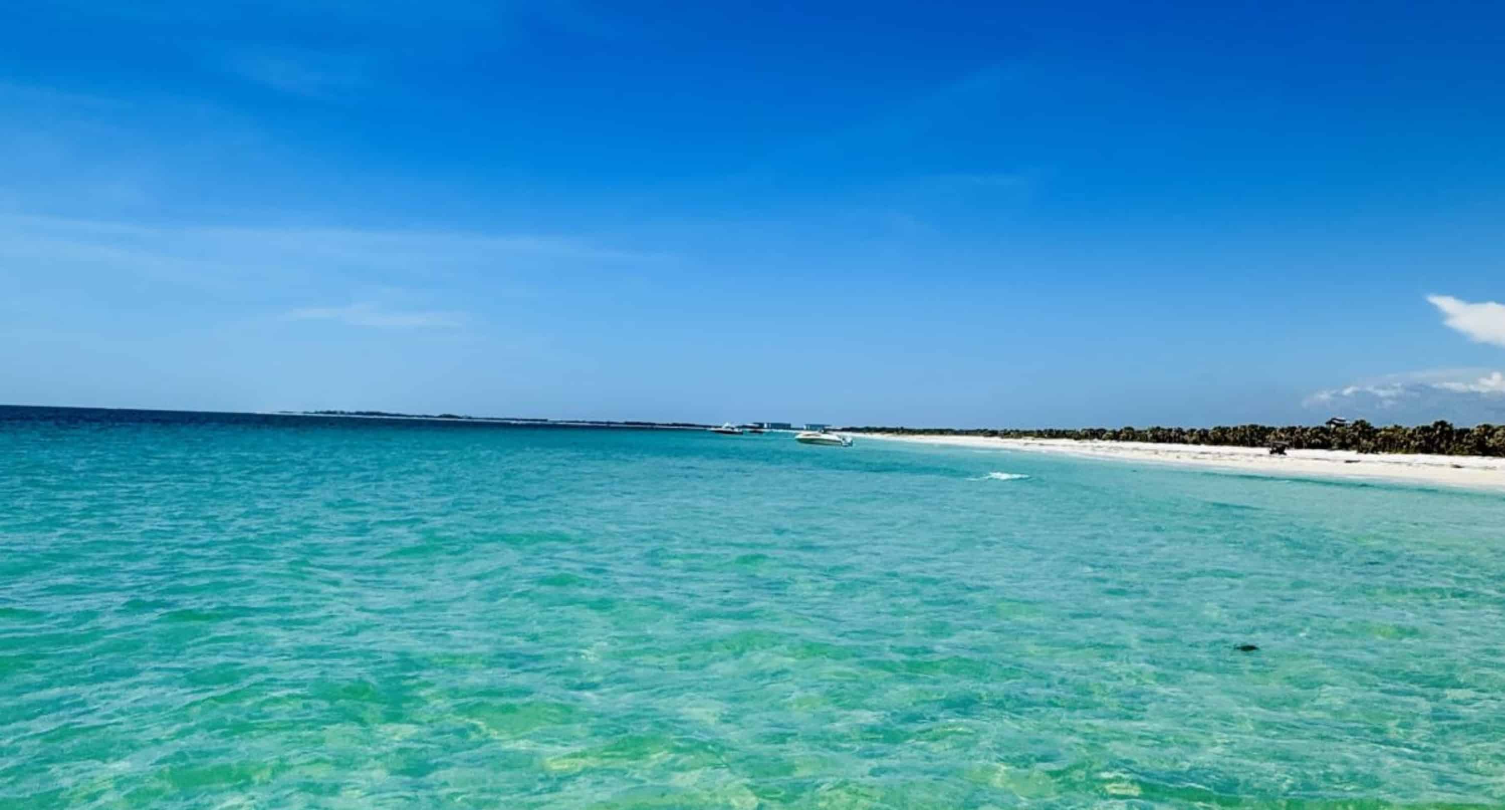 Seas-the-Day-Pontoon-Island-Excursion