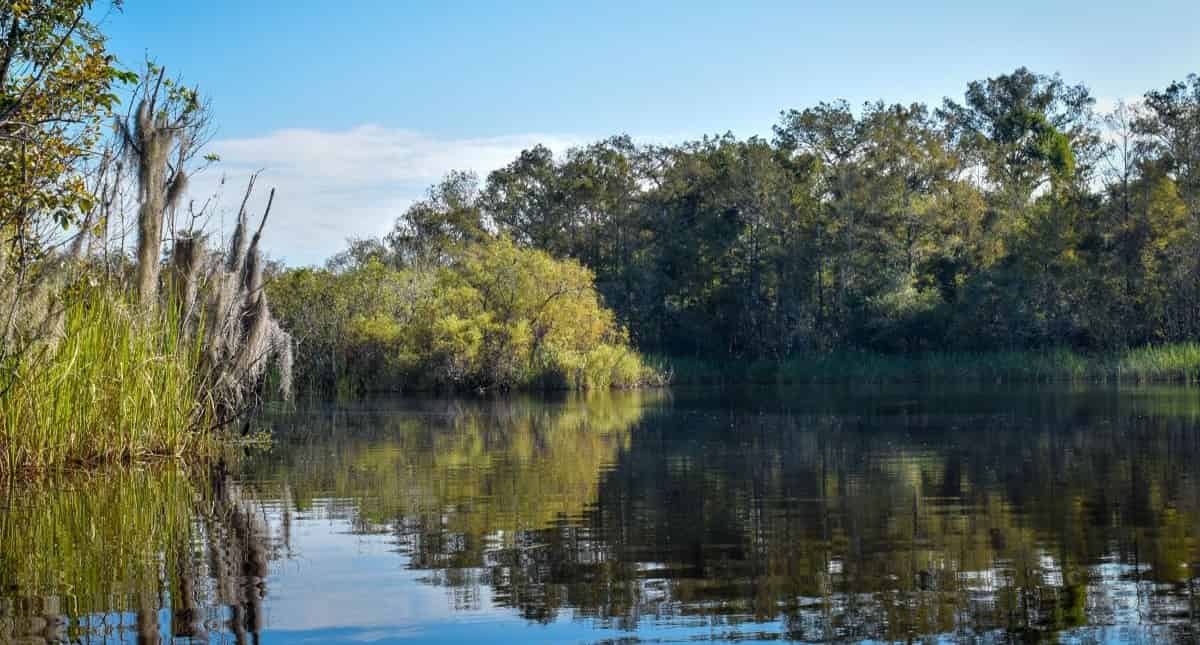 Everglades-Guided-Kayak-Tour