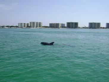 Destin Pontoon & Jet Ski Rental Package