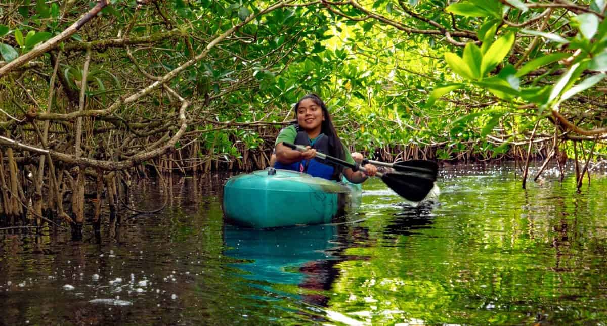 Everglades-Guided-Kayak-And-Airboat-Tour