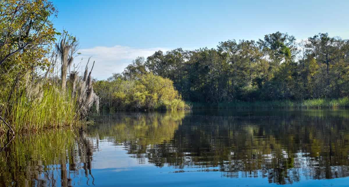 Everglades-Guided-Kayak-And-Airboat-Tour