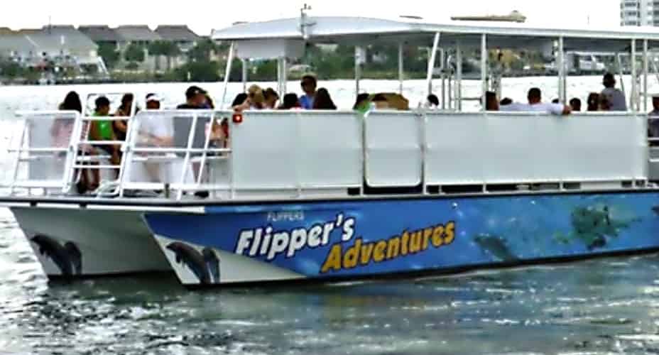 Flippers-Crab-Island-Adventure-With-Dolphin-Cruise