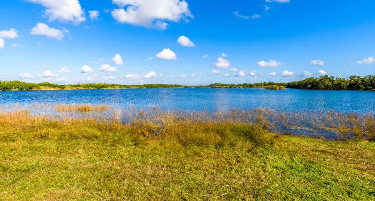 Everglades-And-Big-Cypress-Self-Guided-Driving-Tour-Bundle