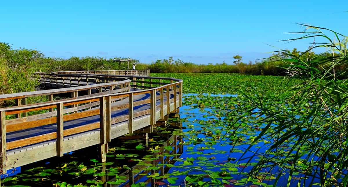 Everglades-National-Park-Self-Guided-Driving-Audio-Tour