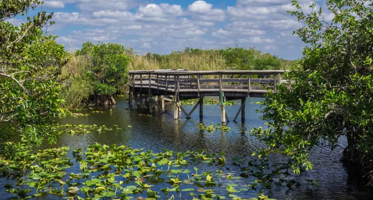 Everglades-National-Park-Self-Guided-Driving-Audio-Tour