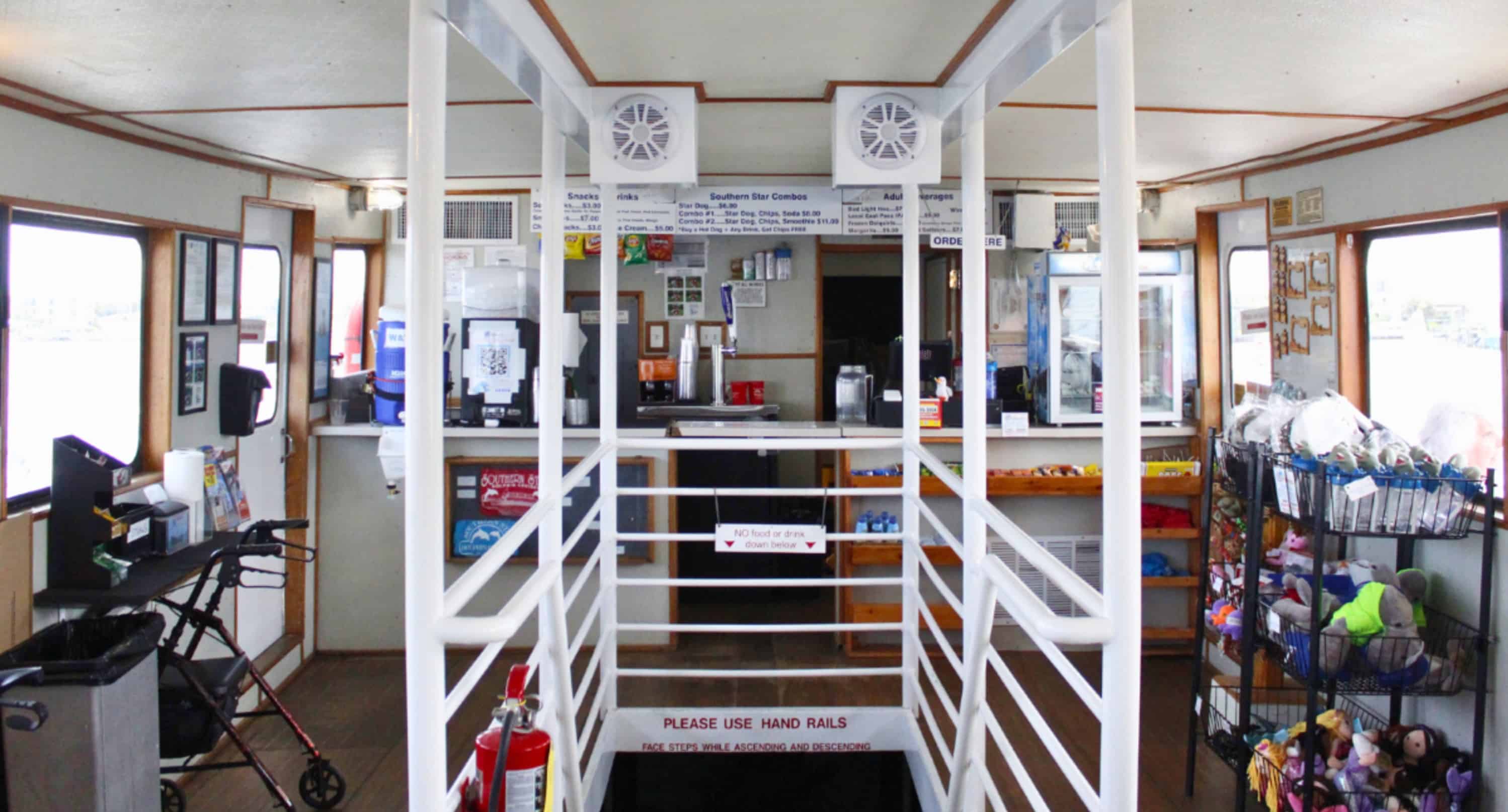 Southern-Star-Dolphin-Cruise