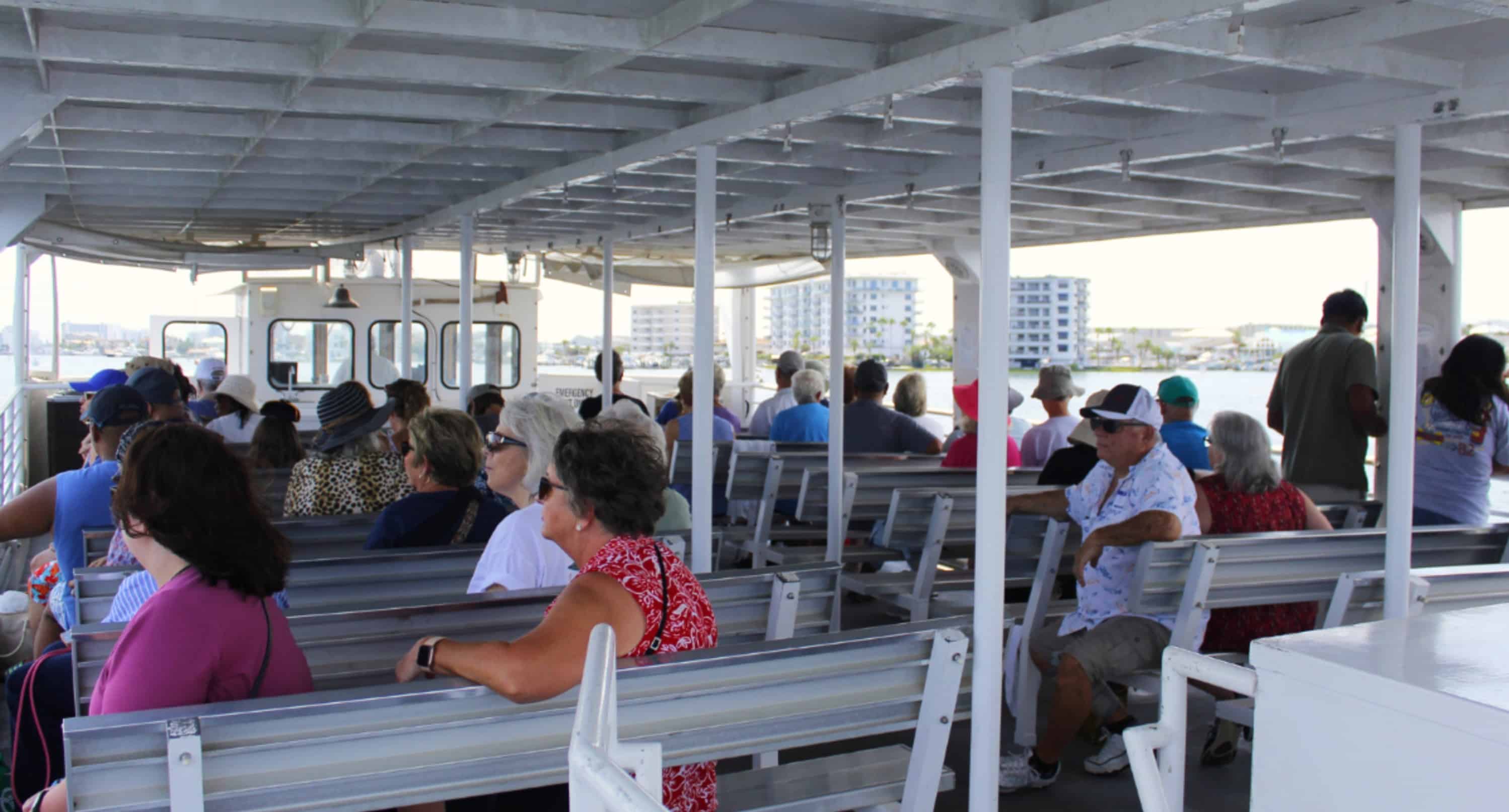 Southern-Star-Dolphin-Cruise