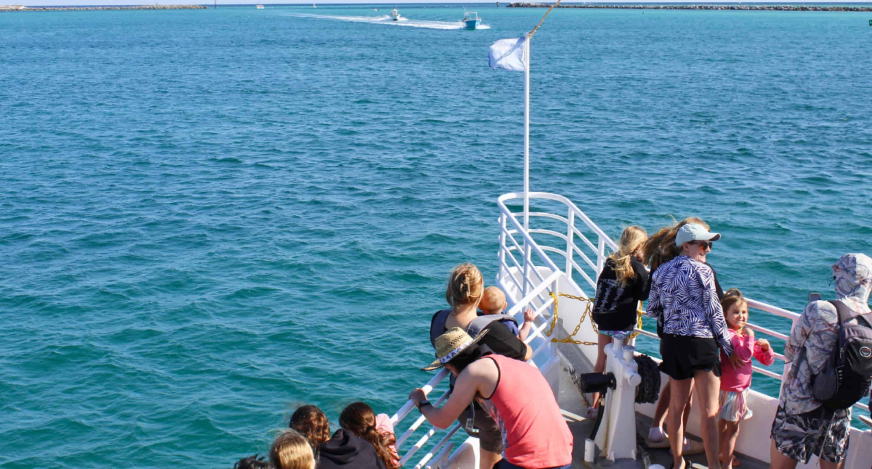 Southern-Star-Dolphin-Cruise