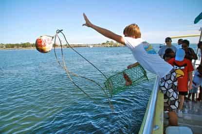 Dolphin Sightseeing Cruise Aboard The Original Sea Screamer