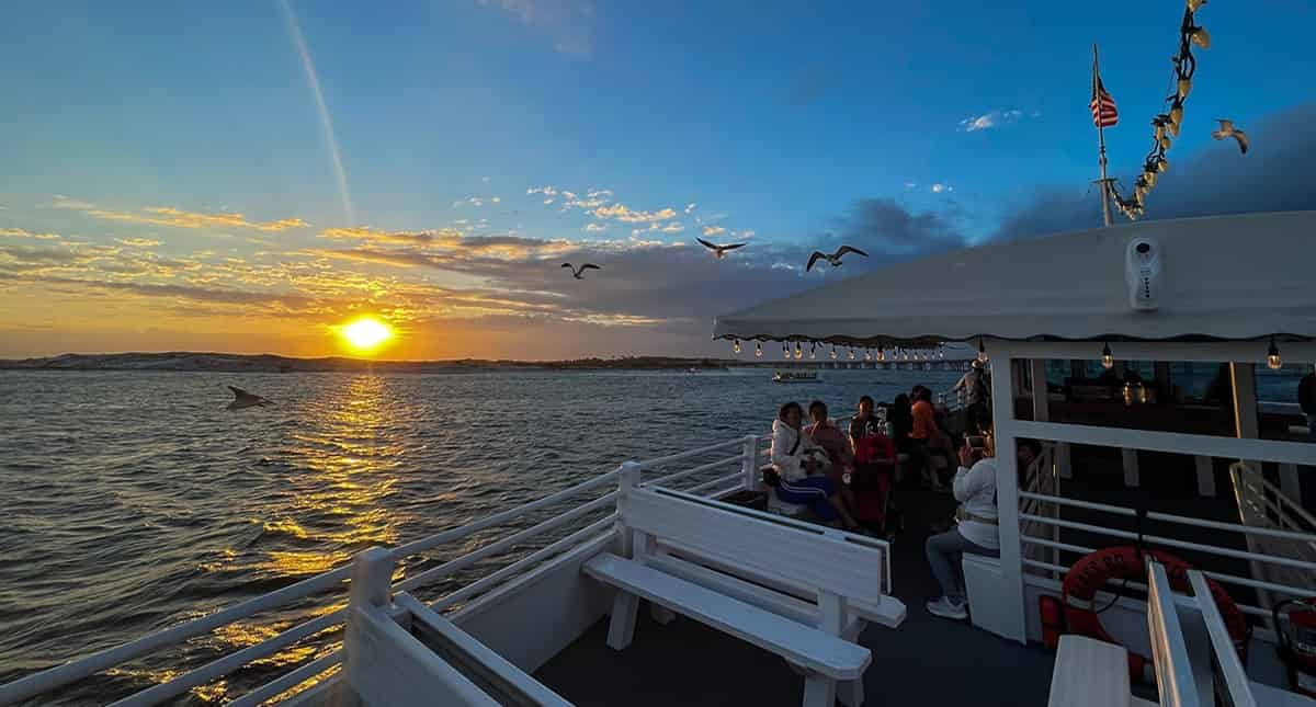 HarborWalk-Village-Sunset-Dolphin-Cruise