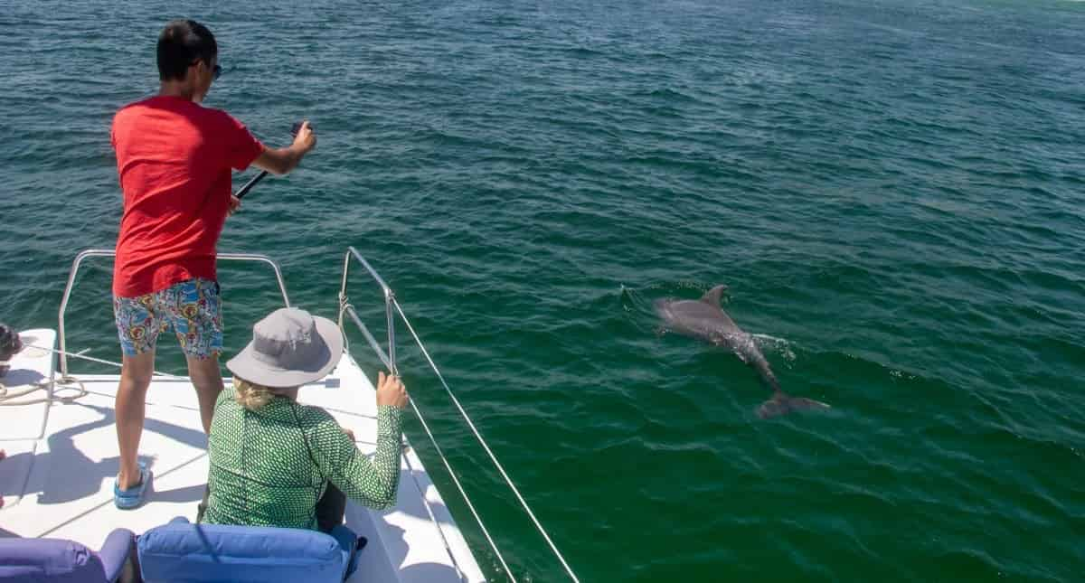 5-Hour-Swim-Sail-And-Snorkel-Charter