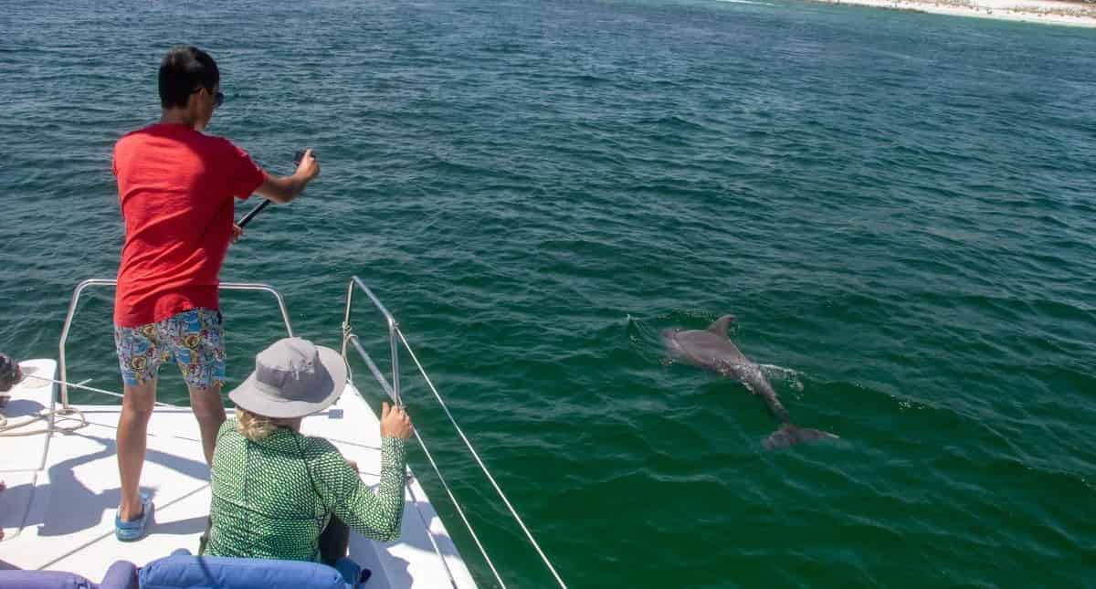 Private-Sunset-And-Swim-Sailing-Charter