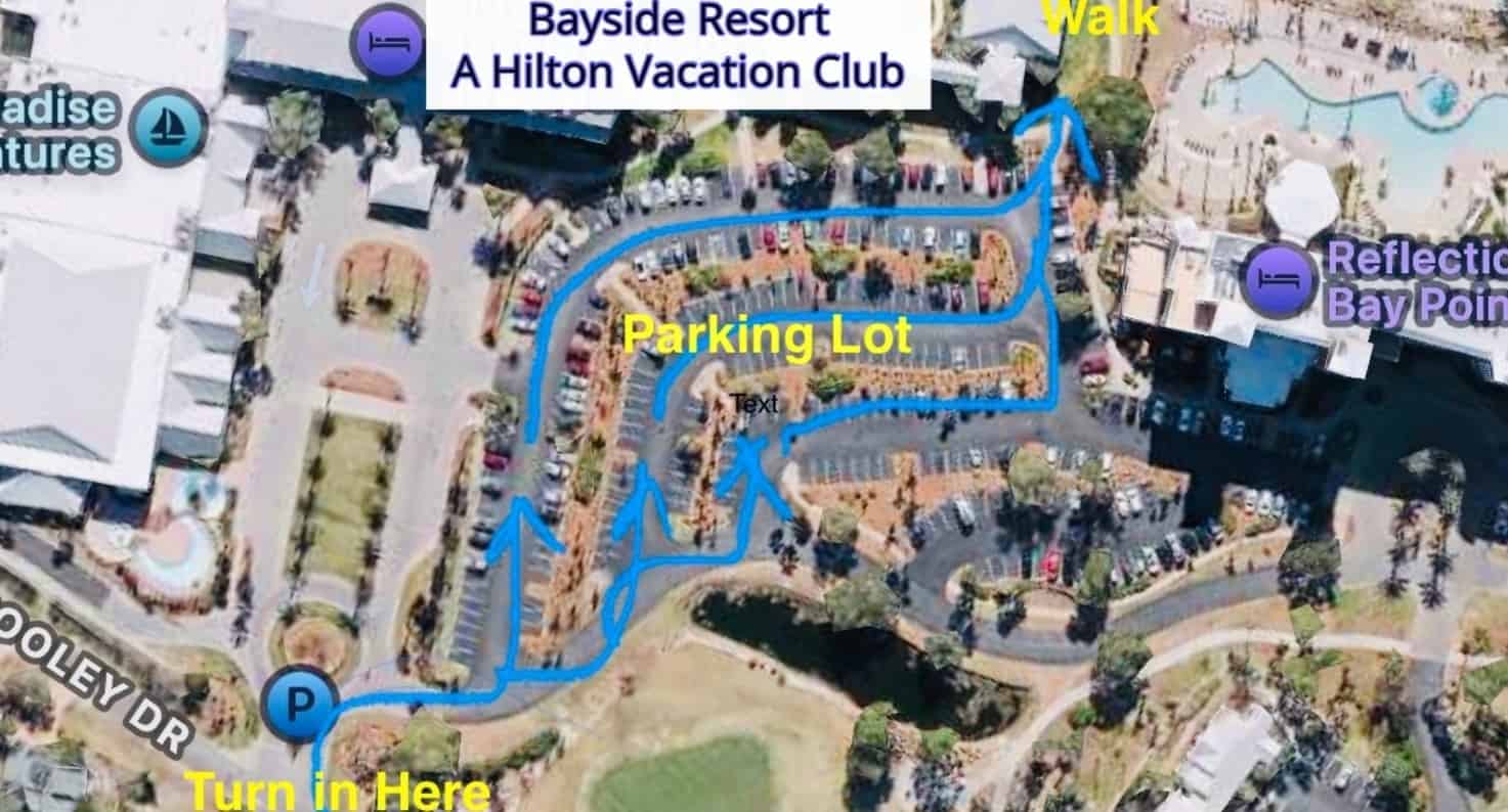 Ohana-Private-Snorkel-Swim-And-Dolphin-Sail