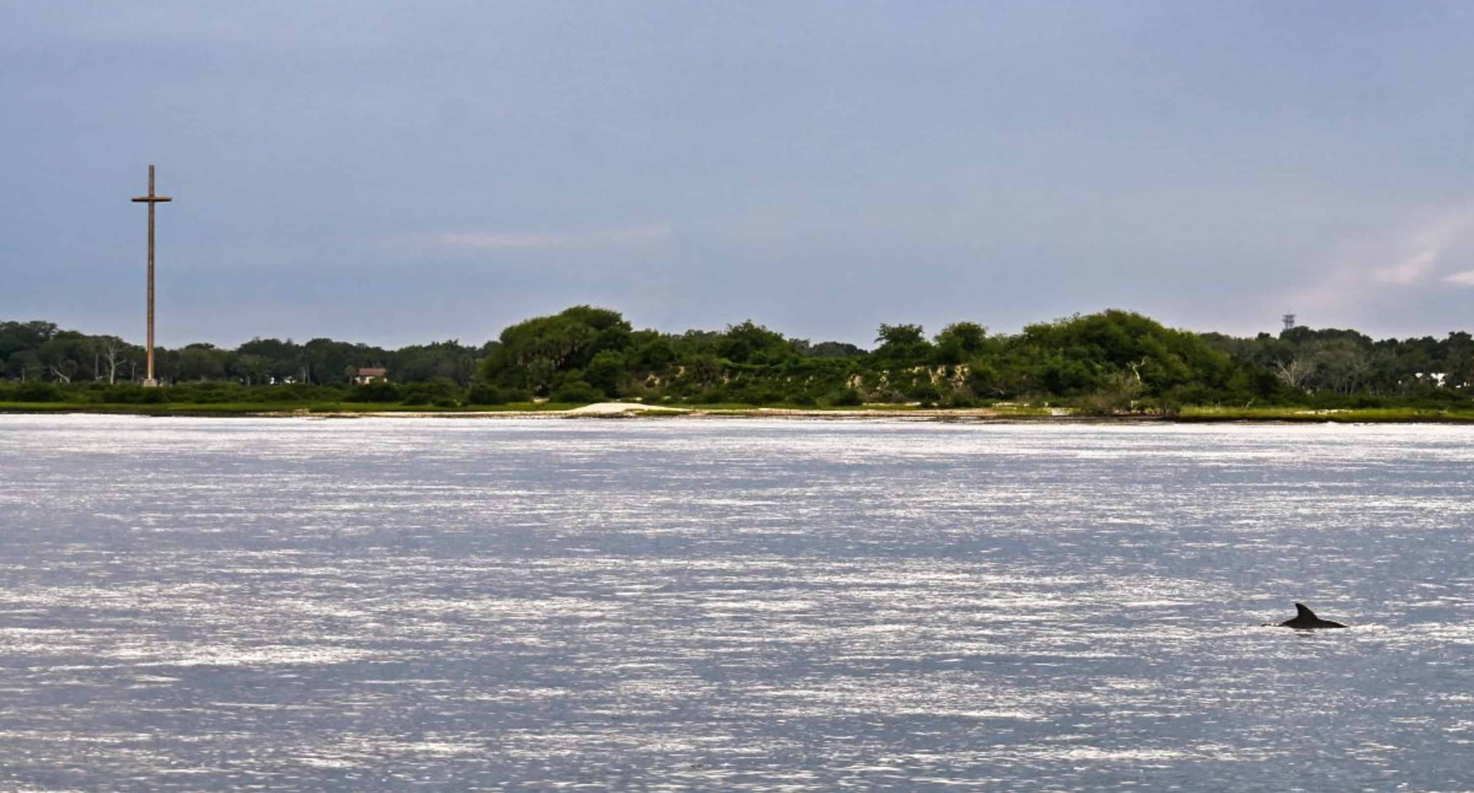 Dolphin-Watch-And-Historical-Harbor-Tour